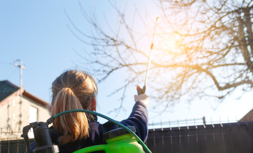 Lemosó permetezés: Milyen hőmérséklet ideális?