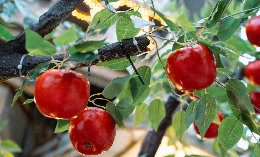 Permetezés gyümölcsösben